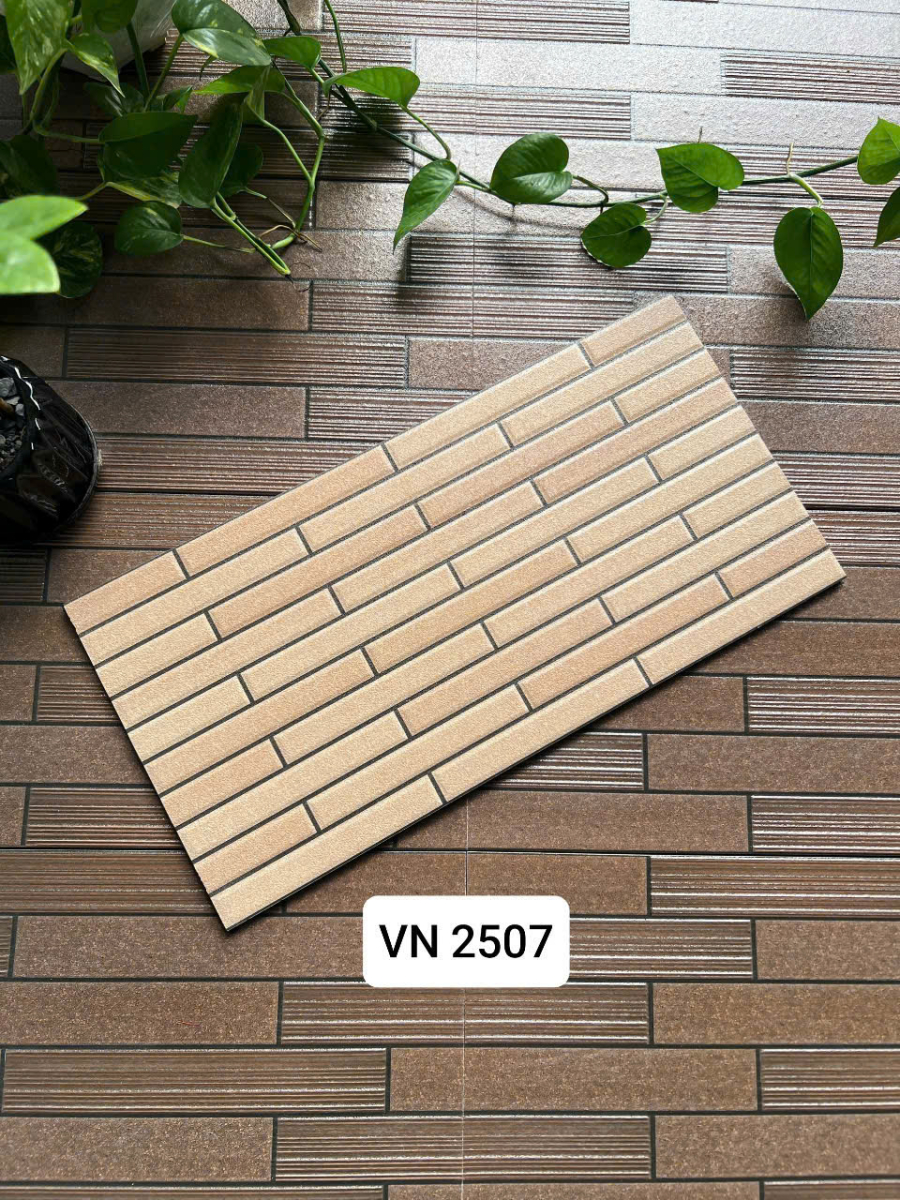 Việt Nhật VN 2507